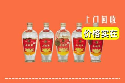 湘潭市雨湖回收老五粮液